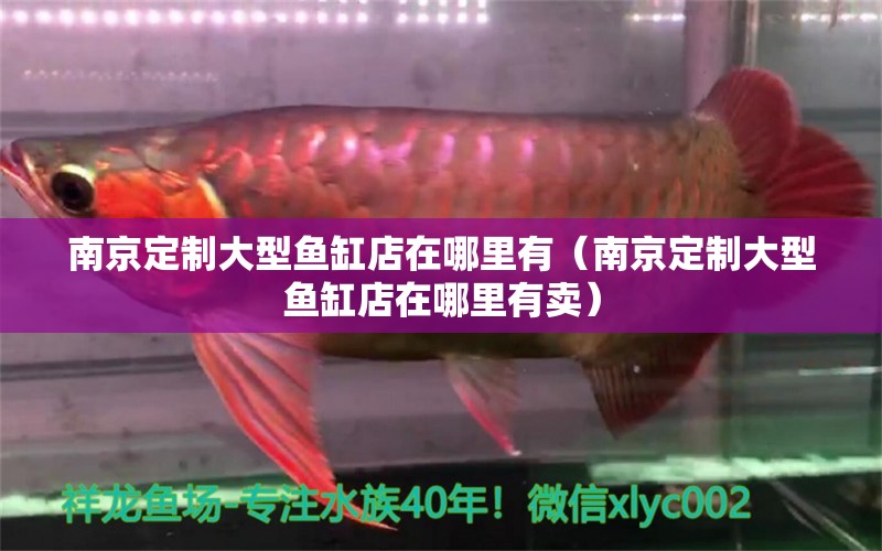 南京定制大型魚缸店在哪里有（南京定制大型魚缸店在哪里有賣） 福虎/異型虎魚/純色虎魚