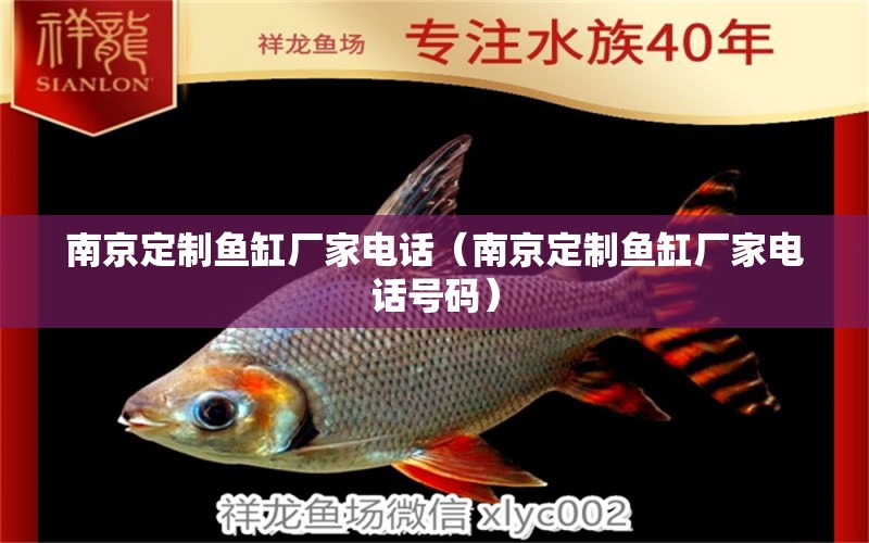 南京定制魚缸廠家電話（南京定制魚缸廠家電話號碼） 水族品牌