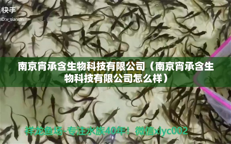 南京宵承含生物科技有限公司（南京宵承含生物科技有限公司怎么樣） 全國(guó)水族館企業(yè)名錄