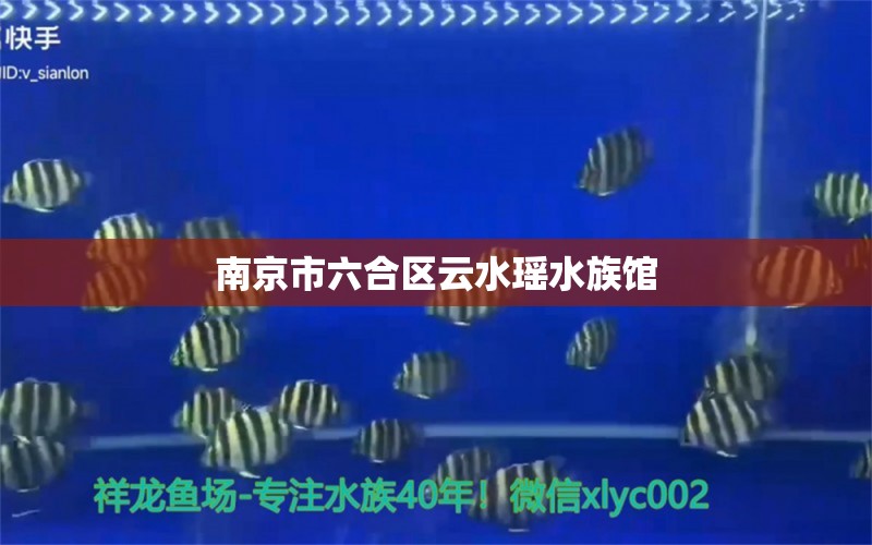 南京市六合區(qū)云水瑤水族館 全國水族館企業(yè)名錄