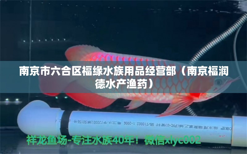 南京市六合區(qū)福緣水族用品經(jīng)營部（南京福潤德水產(chǎn)漁藥） 水族用品