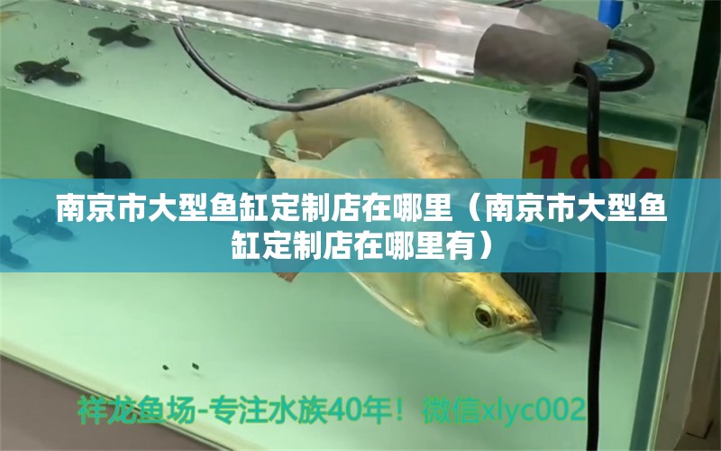 南京市大型魚缸定制店在哪里（南京市大型魚缸定制店在哪里有）