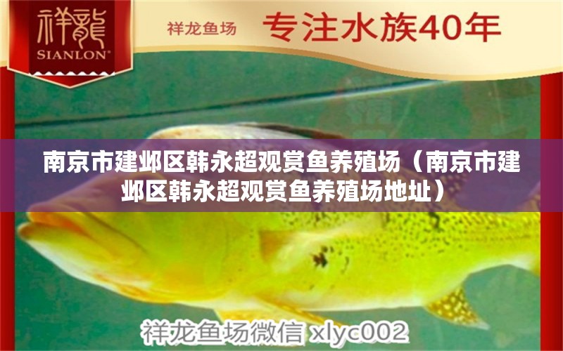 南京市建鄴區(qū)韓永超觀賞魚(yú)養(yǎng)殖場(chǎng)（南京市建鄴區(qū)韓永超觀賞魚(yú)養(yǎng)殖場(chǎng)地址）