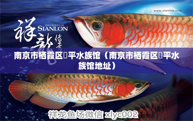 南京市棲霞區(qū)珰平水族館（南京市棲霞區(qū)珰平水族館地址） 全國水族館企業(yè)名錄