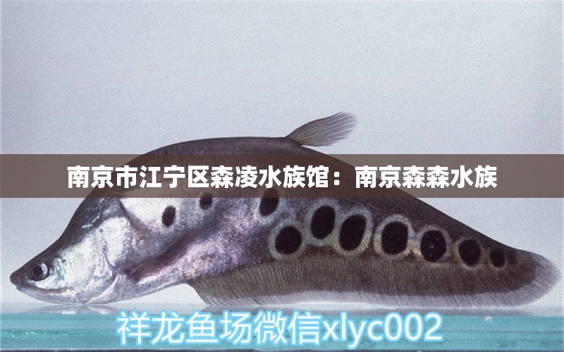 南京市江寧區(qū)森凌水族館：南京森森水族