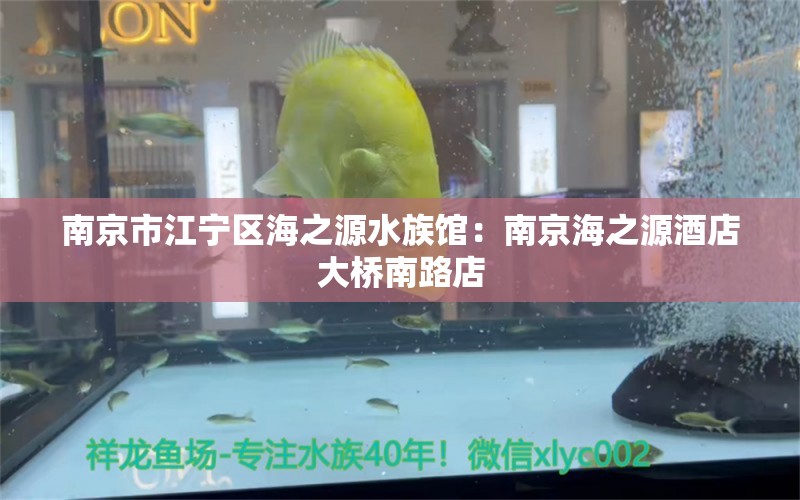 南京市江寧區(qū)海之源水族館：南京海之源酒店大橋南路店