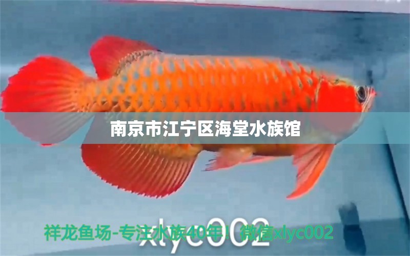 南京市江寧區(qū)海堂水族館