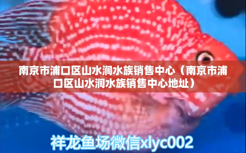 南京市浦口區(qū)山水澗水族銷售中心（南京市浦口區(qū)山水澗水族銷售中心地址） 全國水族館企業(yè)名錄