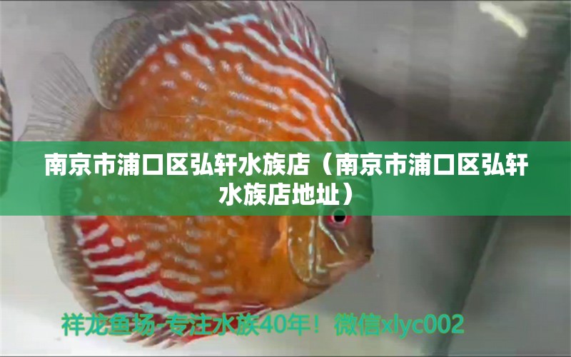 南京市浦口區(qū)弘軒水族店（南京市浦口區(qū)弘軒水族店地址） 全國水族館企業(yè)名錄