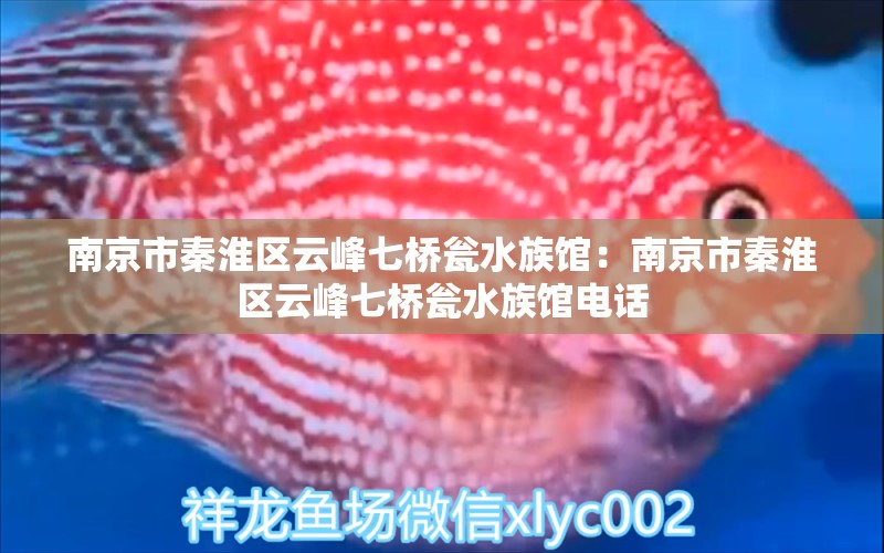 南京市秦淮區(qū)云峰七橋甕水族館：南京市秦淮區(qū)云峰七橋甕水族館電話