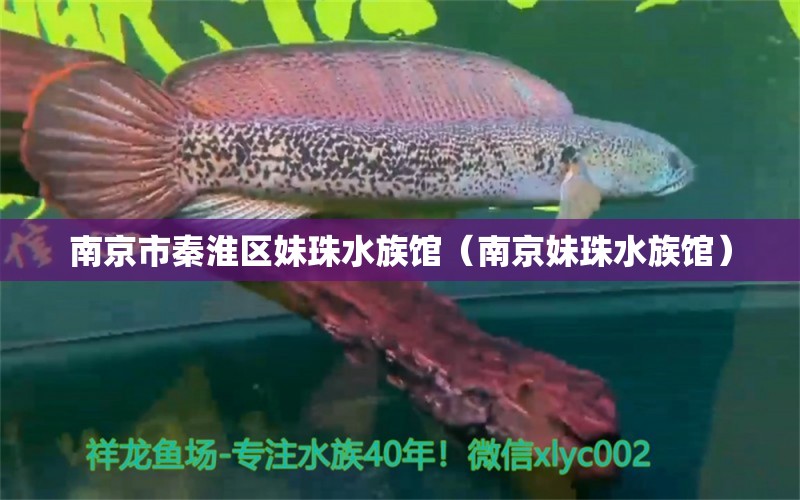 南京市秦淮區(qū)妹珠水族館（南京妹珠水族館） 全國觀賞魚市場 第2張