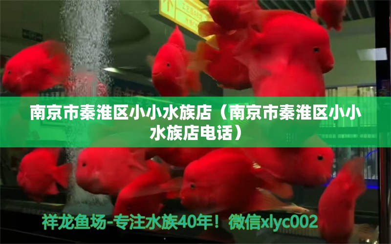 南京市秦淮區(qū)小小水族店（南京市秦淮區(qū)小小水族店電話）