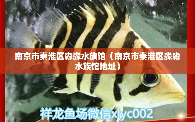 南京市秦淮區(qū)淼淼水族館（南京市秦淮區(qū)淼淼水族館地址）