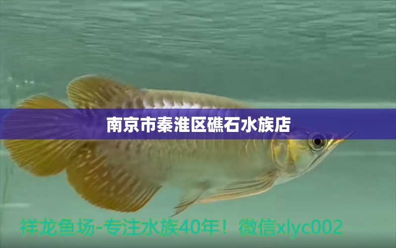 南京市秦淮區(qū)礁石水族店 全國水族館企業(yè)名錄