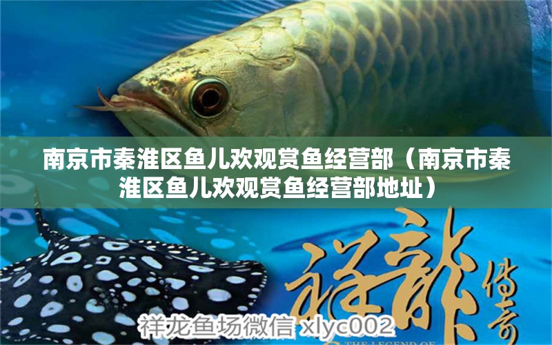 南京市秦淮區(qū)魚兒歡觀賞魚經(jīng)營(yíng)部（南京市秦淮區(qū)魚兒歡觀賞魚經(jīng)營(yíng)部地址） 全國(guó)水族館企業(yè)名錄