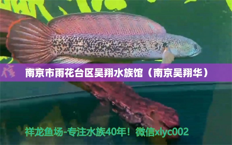 南京市雨花臺(tái)區(qū)吳翔水族館（南京吳翔華）