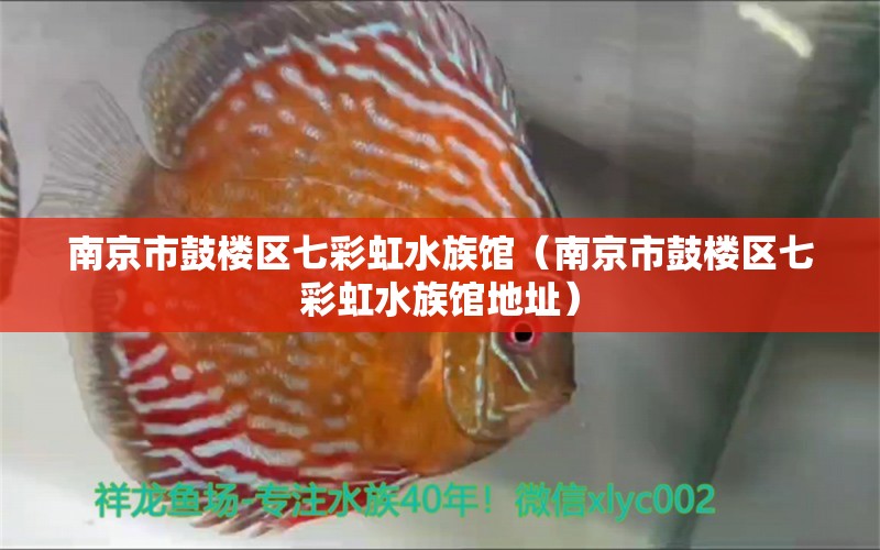 南京市鼓樓區(qū)七彩虹水族館（南京市鼓樓區(qū)七彩虹水族館地址）