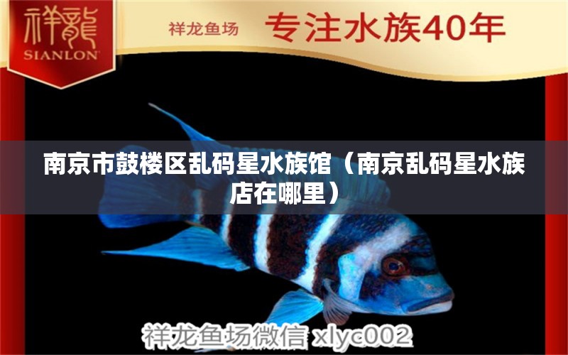 南京市鼓樓區(qū)亂碼星水族館（南京亂碼星水族店在哪里）