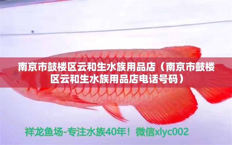 南京市鼓樓區(qū)云和生水族用品店（南京市鼓樓區(qū)云和生水族用品店電話號碼） 水族用品