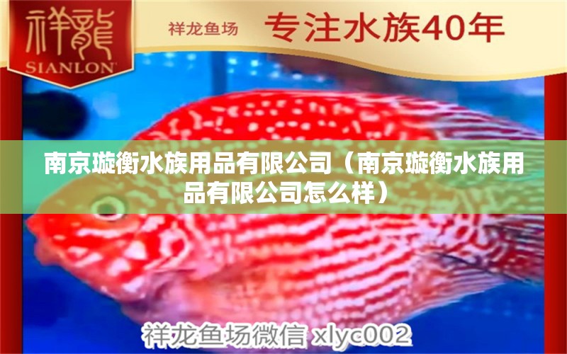 南京璇衡水族用品有限公司（南京璇衡水族用品有限公司怎么樣） 水族用品