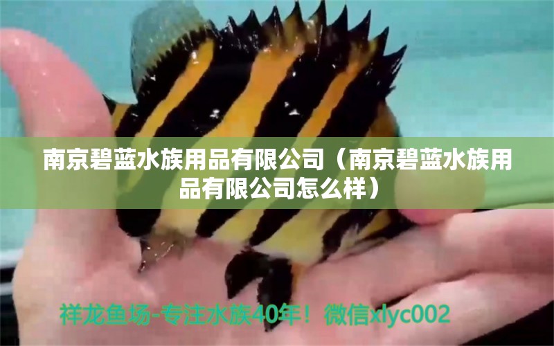 南京碧藍水族用品有限公司（南京碧藍水族用品有限公司怎么樣）