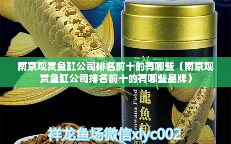 南京觀賞魚缸公司排名前十的有哪些（南京觀賞魚缸公司排名前十的有哪些品牌）