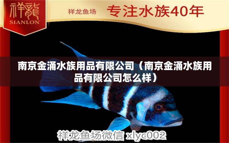 南京金涌水族用品有限公司（南京金涌水族用品有限公司怎么樣） 水族用品