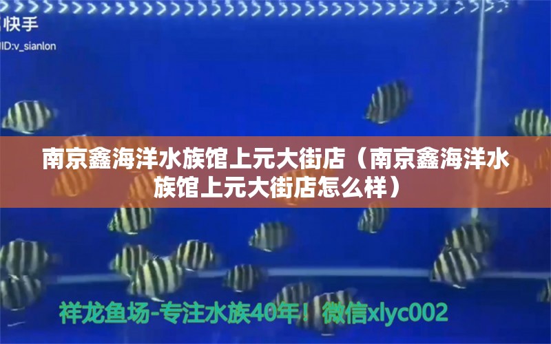 南京鑫海洋水族館上元大街店（南京鑫海洋水族館上元大街店怎么樣）