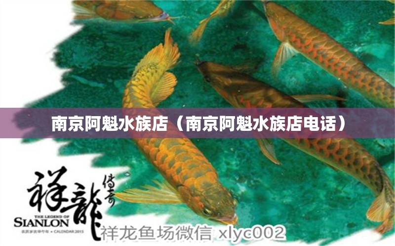 南京阿魁水族店（南京阿魁水族店電話） 全國(guó)水族館企業(yè)名錄