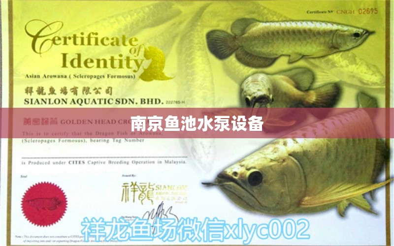 南京魚池水泵設(shè)備 廣州水族器材濾材批發(fā)市場(chǎng)