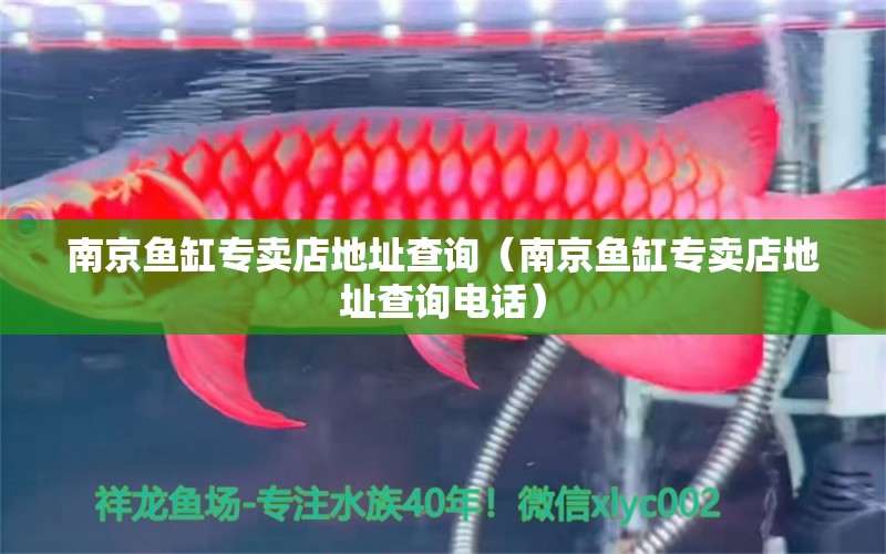 南京魚缸專賣店地址查詢（南京魚缸專賣店地址查詢電話）