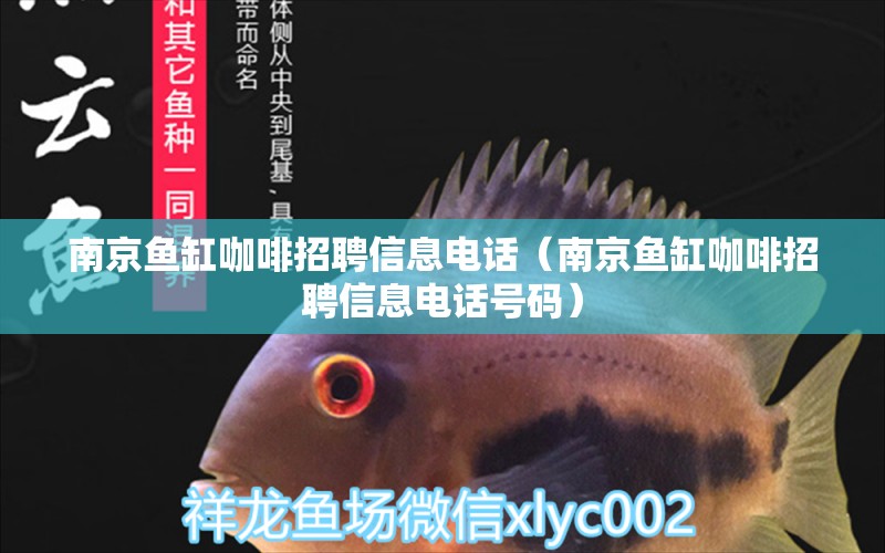 南京魚缸咖啡招聘信息電話（南京魚缸咖啡招聘信息電話號(hào)碼） 馬來(lái)西亞咖啡