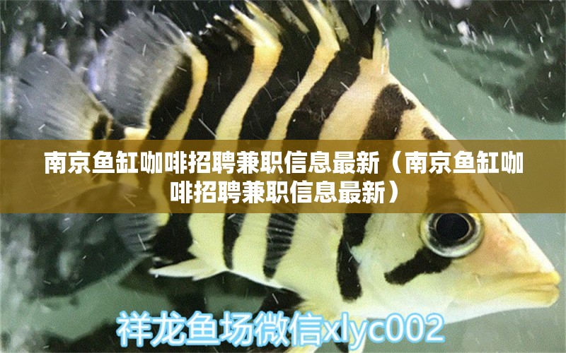 南京魚缸咖啡招聘兼職信息最新（南京魚缸咖啡招聘兼職信息最新）