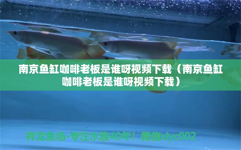 南京魚(yú)缸咖啡老板是誰(shuí)呀視頻下載（南京魚(yú)缸咖啡老板是誰(shuí)呀視頻下載）