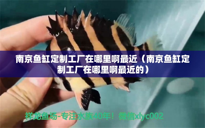 南京魚缸定制工廠在哪里啊最近（南京魚缸定制工廠在哪里啊最近的）