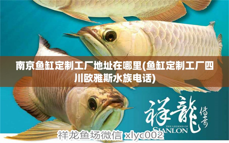 南京魚缸定制工廠地址在哪里(魚缸定制工廠四川歐雅斯水族電話)