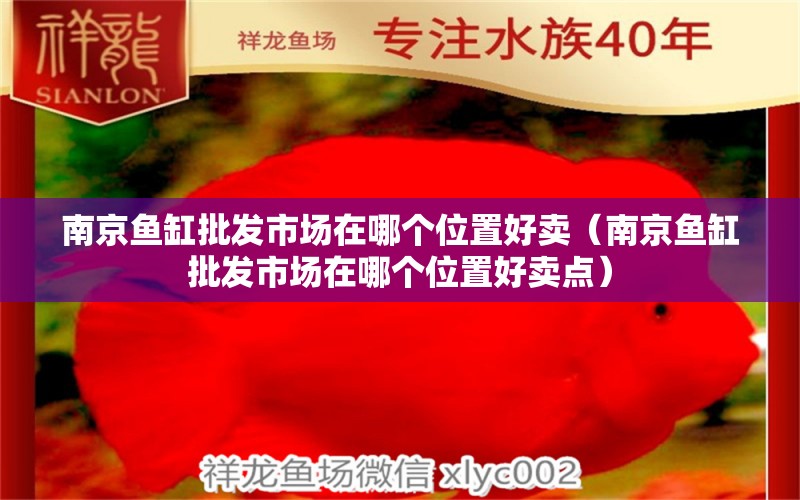 南京魚缸批發(fā)市場在哪個(gè)位置好賣（南京魚缸批發(fā)市場在哪個(gè)位置好賣點(diǎn)）