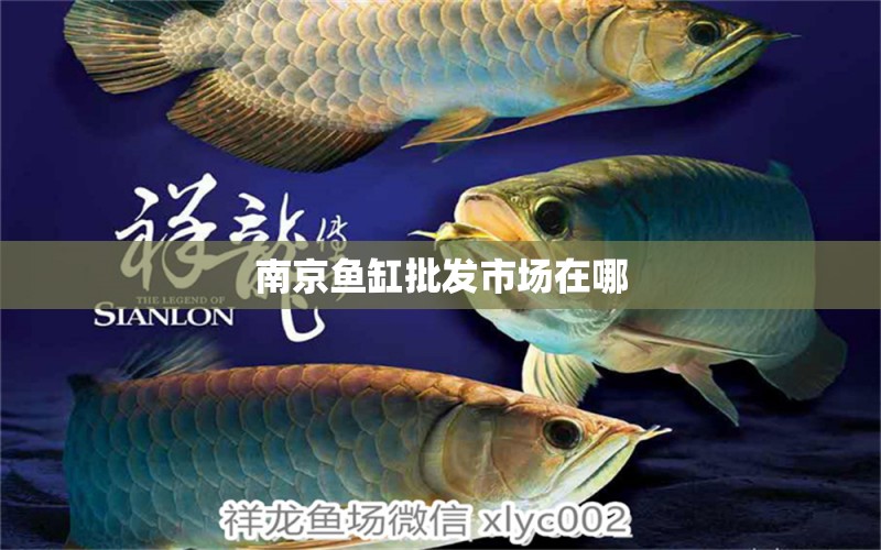 南京魚(yú)缸批發(fā)市場(chǎng)在哪 其他品牌魚(yú)缸