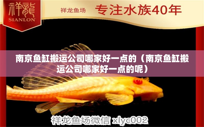 南京魚(yú)缸搬運(yùn)公司哪家好一點(diǎn)的（南京魚(yú)缸搬運(yùn)公司哪家好一點(diǎn)的呢）