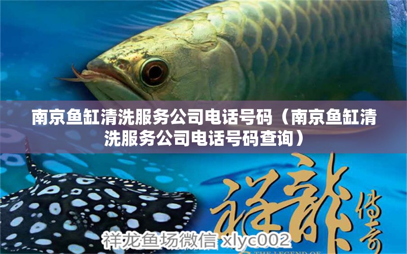 南京魚缸清洗服務(wù)公司電話號碼（南京魚缸清洗服務(wù)公司電話號碼查詢） 祥龍水族醫(yī)院