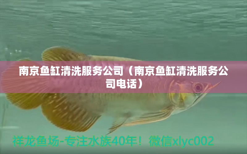 南京魚(yú)缸清洗服務(wù)公司（南京魚(yú)缸清洗服務(wù)公司電話）