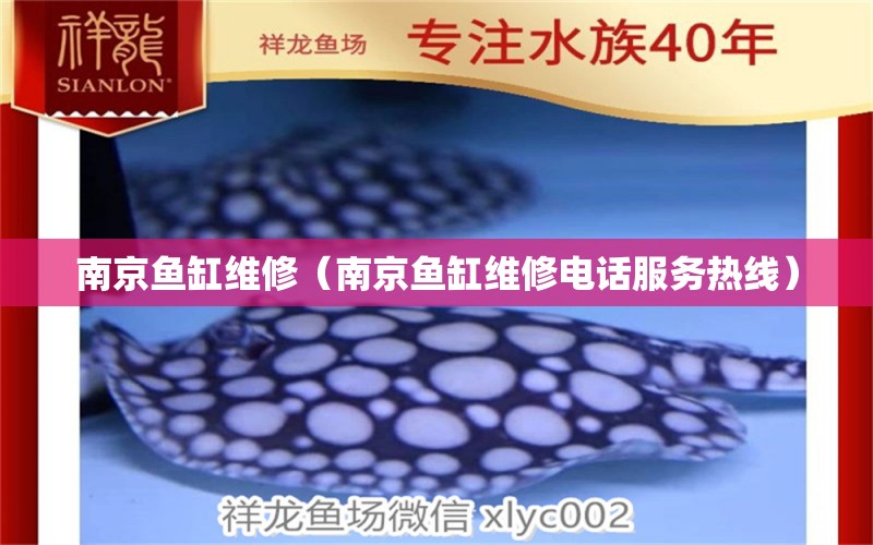 南京魚(yú)缸維修（南京魚(yú)缸維修電話服務(wù)熱線） 其他品牌魚(yú)缸