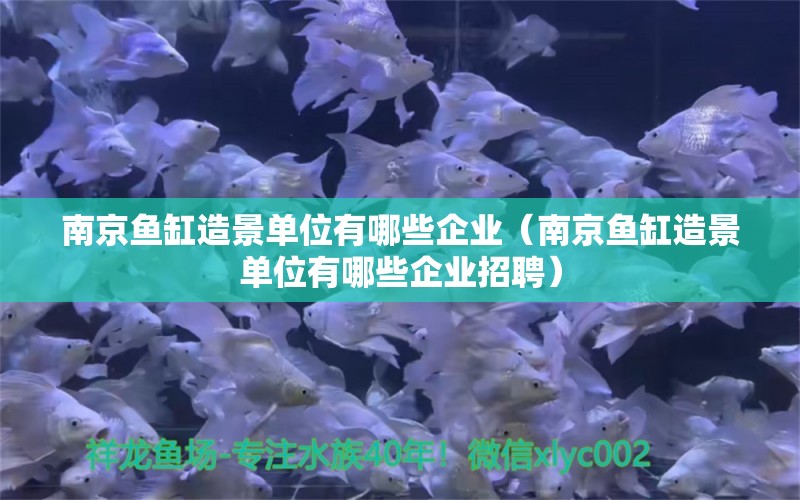 南京魚缸造景單位有哪些企業(yè)（南京魚缸造景單位有哪些企業(yè)招聘）