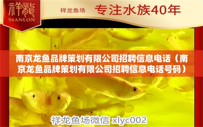 南京龍魚品牌策劃有限公司招聘信息電話（南京龍魚品牌策劃有限公司招聘信息電話號(hào)碼）