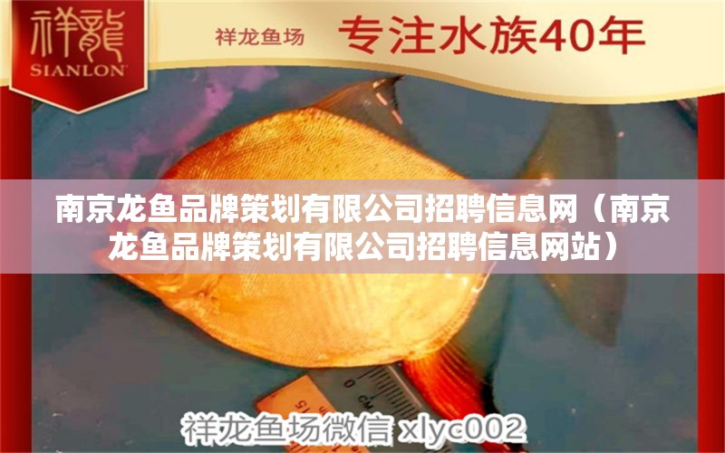 南京龍魚品牌策劃有限公司招聘信息網(wǎng)（南京龍魚品牌策劃有限公司招聘信息網(wǎng)站） 水族雜談