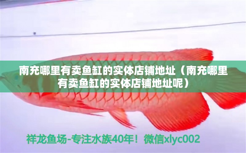 南充哪里有賣魚缸的實(shí)體店鋪地址（南充哪里有賣魚缸的實(shí)體店鋪地址呢）