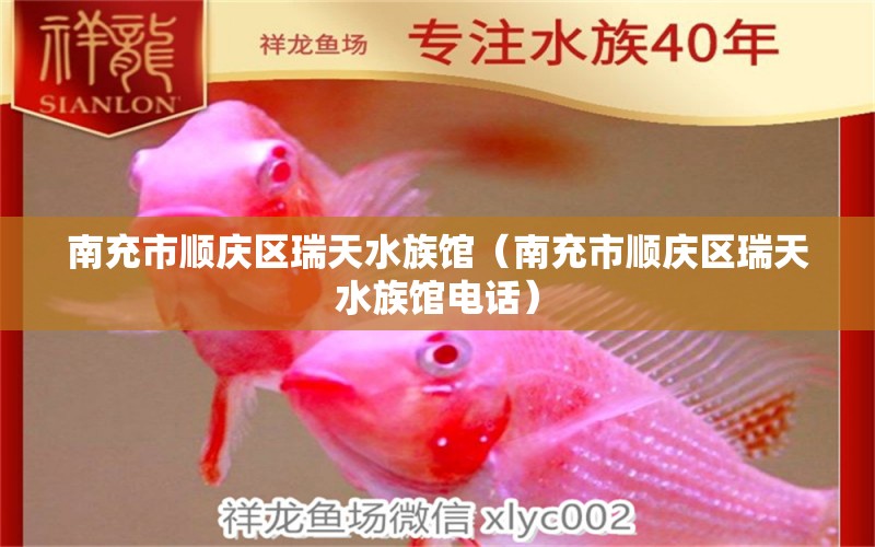 南充市順慶區(qū)瑞天水族館（南充市順慶區(qū)瑞天水族館電話） 全國(guó)水族館企業(yè)名錄