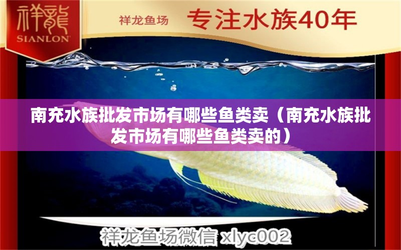 南充水族批發(fā)市場有哪些魚類賣（南充水族批發(fā)市場有哪些魚類賣的）