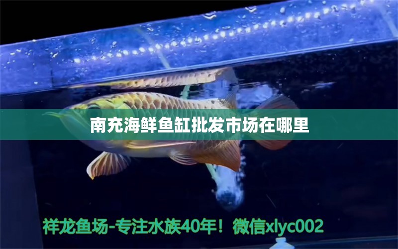 南充海鮮魚缸批發(fā)市場在哪里 觀賞魚