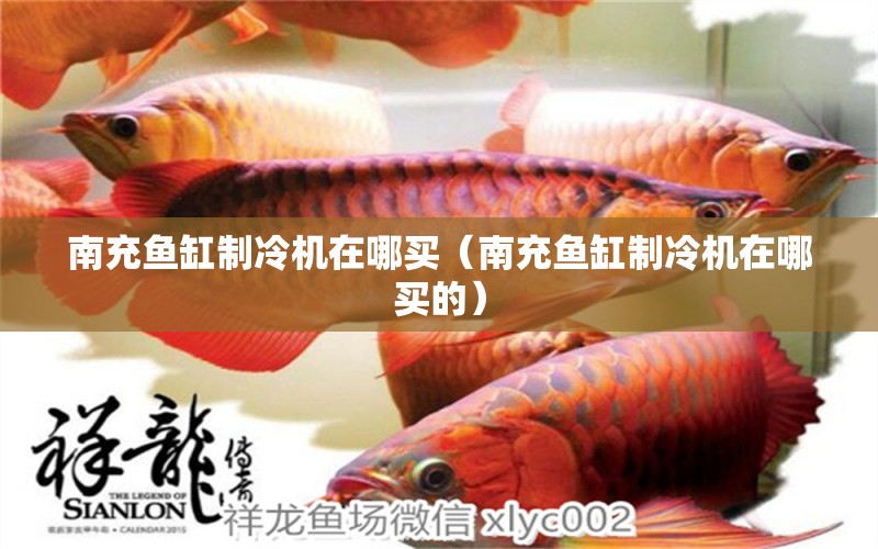 南充魚缸制冷機(jī)在哪買（南充魚缸制冷機(jī)在哪買的）